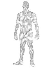 Athletic Human Male Wireframe Vector Illustration