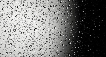 Artistic Close Up Of Water Droplets On Glass With Gradient Color