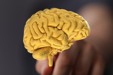 3D rendering of a golden human brain.  Concept for intelligence, intellect, and neurology.