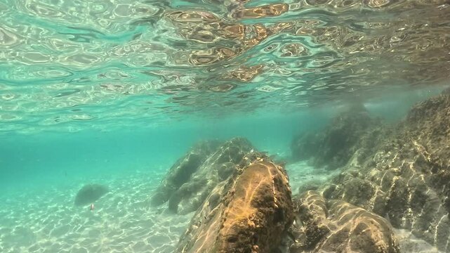 Underwater ocean view of rocks and coral reef seafloor and clear crystal blue water and small fishes, sea landscape Greece