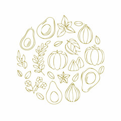 Vector set of natural ingredients and oils for cosmetics in linear style - packaging design templates and emblems - olive, almond, avocado, cocoa, coconut, argan, lavender, jasmine and rose