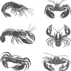 Set illustrations of crustaceans isolated on transparent background. Vector graphics