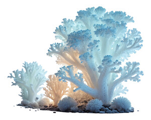 A Captivating Display of Delicate White Coral Structures with Subtle Color Variations and Intricate Branching Patterns © Nouman