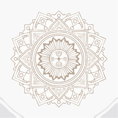 Vector line design element, badge and icon for food and cosmetics packaging in mono linear style - paraben free