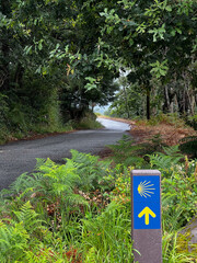 yellow arrow showing the direction of the pilgrimage to Santiago in portugal on the camino de Santiago, the road to santiago, christian pilgrimage