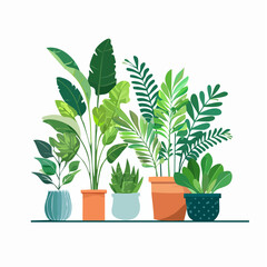 Decorative green houseplants in pots and planters, natural home decor and urban jungle