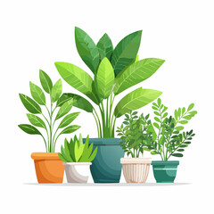 Decorative green houseplants in pots and planters, natural home decor and urban jungle
