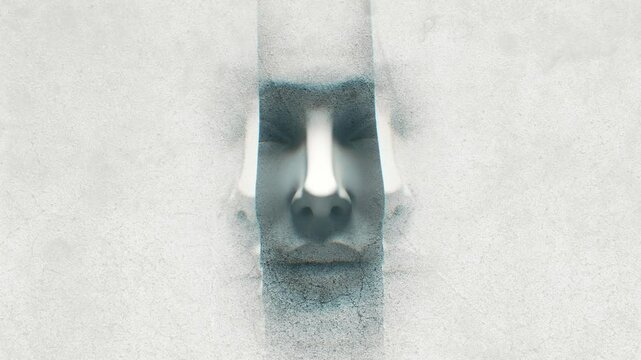 A human face that is split in the middle with repeated versions, representative of human psychology, split or multiple personalities and the ego. In a stop frame grunge textured effect.