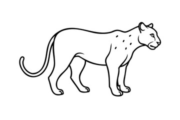 Line drawing of a spotted leopard standing profile view