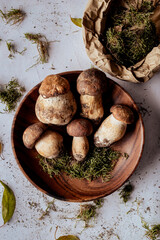 Porcini mushrooms on delicate background.