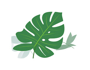 Stylized Monstera Leaf with Pale Green Foliage Accent Tropical Design