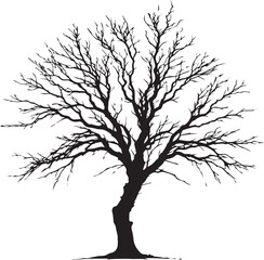 Obraz premium Bare Tree Silhouette