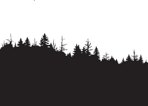 Dense Forest Treeline Silhouette