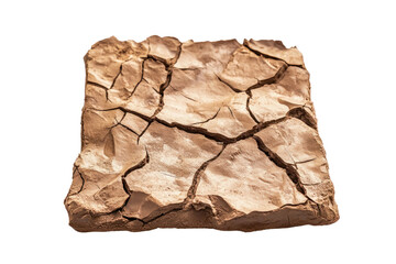 Cracked Earth: A detailed macro view of parched land, revealing a complex network of fractures and a texture that tells a story of drought and resilience.
