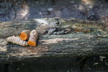 Fresh turmeric root displayed on textured tree bark against a dark background. Natural spice and herbal ingredient used in skincare, wellness, and traditional remedies. Earthy, organic look.