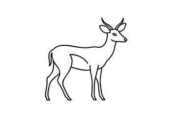 Line drawing of a graceful antelope standing profile