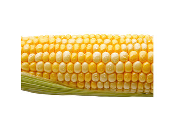 Golden Corn: A close-up view of a ripe ear of corn, its kernels arranged in a mesmerizing pattern, ready for harvest, symbolizing the essence of summer and agricultural abundance.