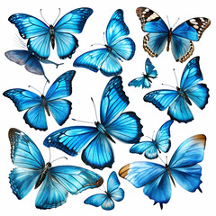 Obraz premium Beautiful assortment of vibrant blue butterflies showcasing intricate patterns and elegant wings in art