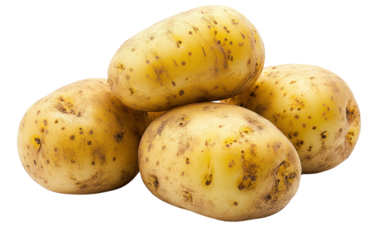 Fresh Potatoes: Close-up of several organically grown potatoes, offering a glimpse into the richness and versatility of a wholesome ingredient. A visual feast for the culinary enthusiast