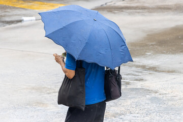 Person walking in rain with blue umbrella on wet street