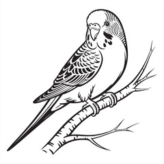 valentines day cute happy bird couple with heart