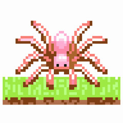 Fototapeta premium pixel art spider on grass platform retro gaming, 8 bit creature design, digital art illustration