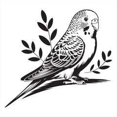 Detailed Black and White Line Art of a Budgie on a Branch