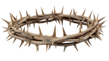 Crown of thorns isolated on transparent background with sharp spikes arranged in circular shape