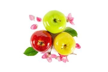 Shiny juicy red, yellow and green apples with apple blossoms and leaves isolated on white.