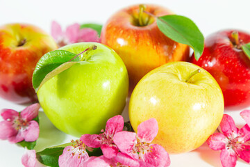 Shiny juicy multi-colored apples with apple blossoms and leaves on white.