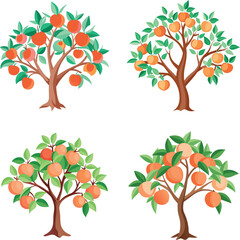 Obraz premium set of four seasons tree