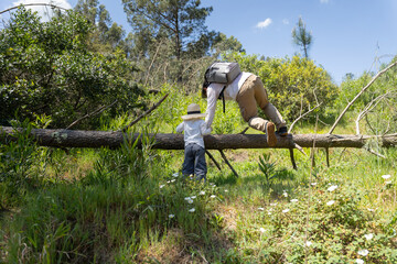 Father and son hiking and climbing over fallen tree in forest