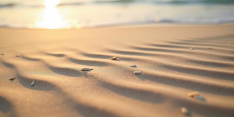 Calm Beach Sand with Wave Patterns