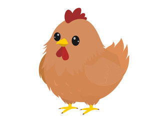 Little chicken on a white background.