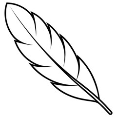 coloring page with feather 