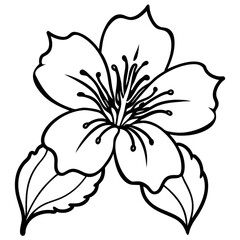 Obraz premium Vintage vector illustration of a lily flower with delicate leaves and a seamless floral pattern, perfect for nature-inspired art and spring decoration