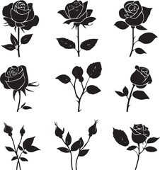 Fototapeta premium Black and white collection of rose icons in sketch style each one showing a different single long stemmed rose symbolic of love, vector illustration on black
