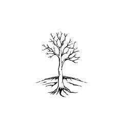 Bare Tree Roots: A stark, hand-drawn illustration of a leafless tree, showcasing its exposed roots and branches against a white backdrop.