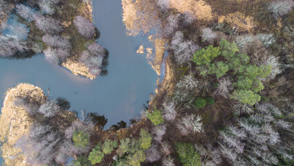 River inside the forest
