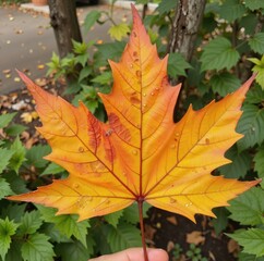 Autumn leaves catch the light, their vibrant hues of red and yellow contrasting beautifully against the backdrop of green foliage and a tree trunk 