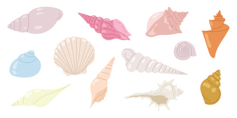 Set sea shells. Hand drawn underwater elements. Illustration for summer, ocean design, beach decor, kids projects. Collection marine shells.