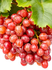 Fototapeta premium Fresh and ripe red grapes isolated in white background. Bunch of raw and juicy grapevines
