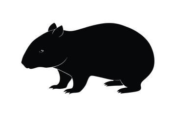 Obraz premium Wombat animal hand drawing vector illustration on white background