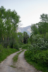 Snow Capped Mountains in the Spring