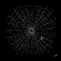 Obraz premium Realistic symmetrical spiderweb illustration in black and white with dew drops and spiders for nature or Halloween themes
