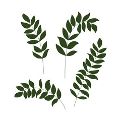 Set of various green plants, young saplings. Vector illustration, isolated on a white.