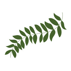 A green branch of leaves. Vector-drawn isolated illustration of greenery.