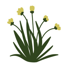 A green bush with flowers on a white background. Vector image of green grass. Flat illustration.