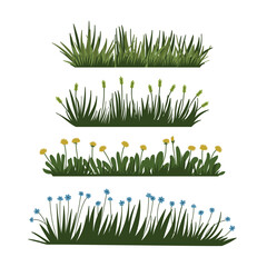 Grass. Set of Grass vector illustrations in flat style. Grass illustration isolated on white background.