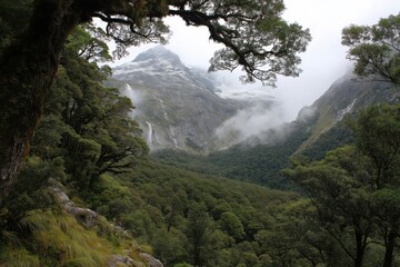 Misty rainforest valley with waterfall and snowy mountain peaks in fiordland national park